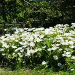 Bed and Breakfast L'angolo Di Lore 4*