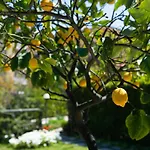 Bed and Breakfast L'angolo Di Lore