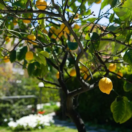 Bed and Breakfast L'angolo Di Lore